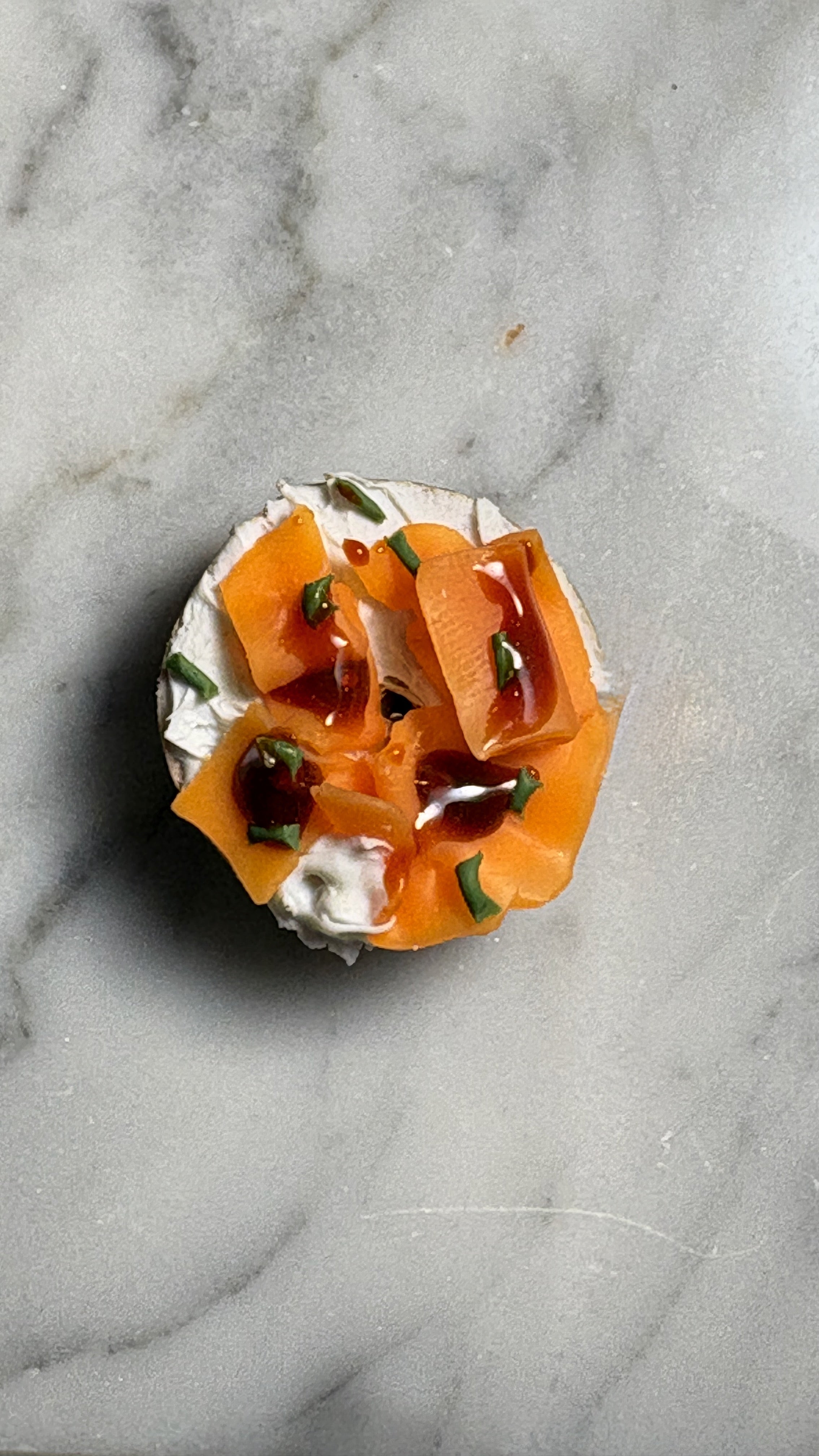 Bagel and Lox Fridge Magnet